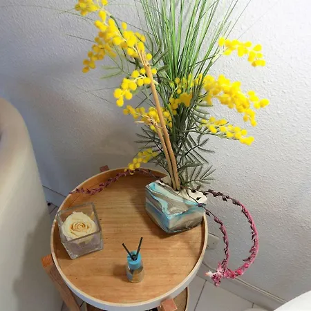 Apartment Saint Palais Sur - Coeur Du Platin - En 5 Min La Palud (Charente-Maritime)